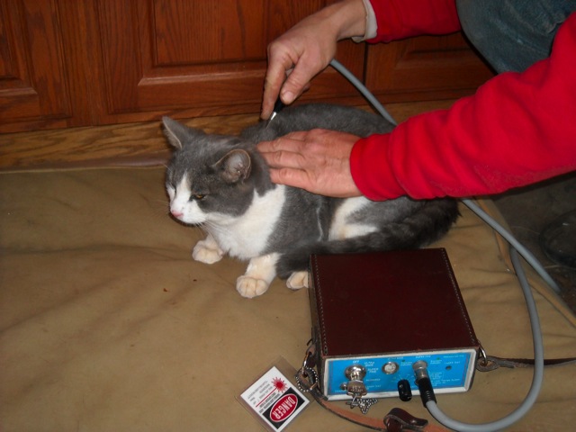 Loading Image